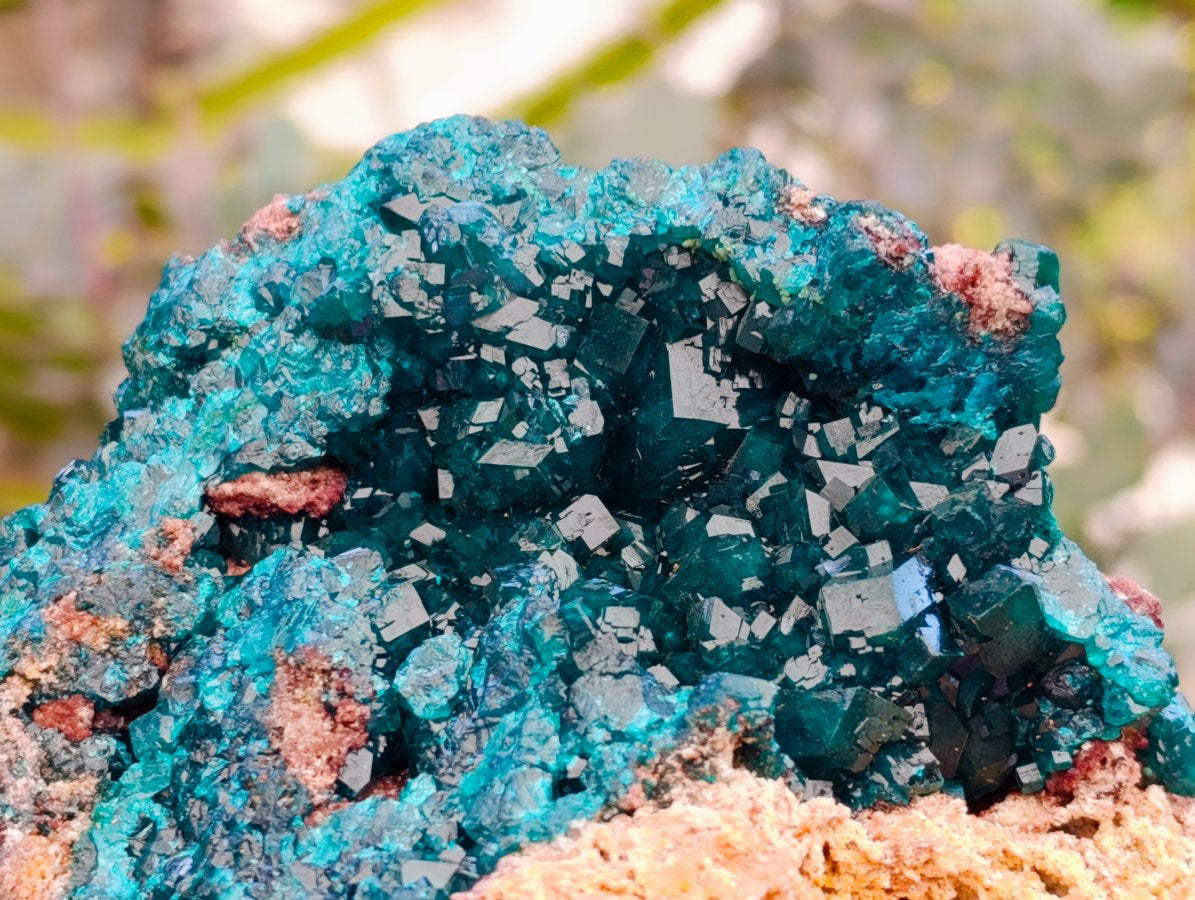Natural Dioptase On Dolomite Specimen x 1 From Likasi, Congo