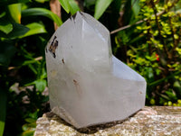 Polished Clear Window Quartz Crystals x 2 From Madagascar
