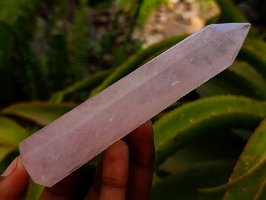 Polished Gemmy Thin Rose Quartz Crystals x 12 From Madagascar