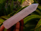 Polished Gemmy Thin Rose Quartz Crystals x 12 From Madagascar