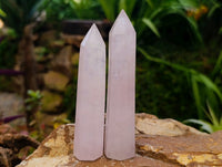 Polished Gemmy Thin Rose Quartz Crystals x 12 From Madagascar