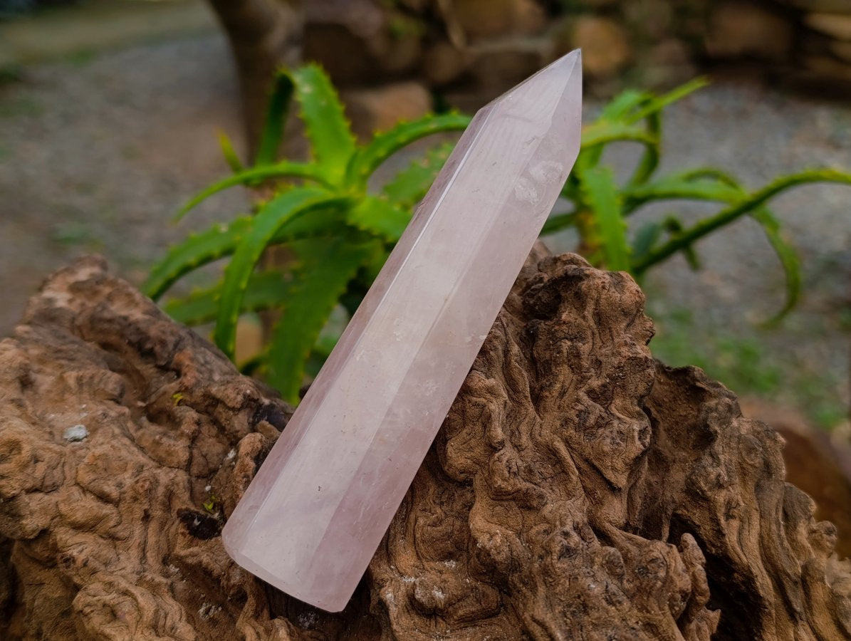 Polished Gemmy Thin Rose Quartz Crystals x 12 From Madagascar