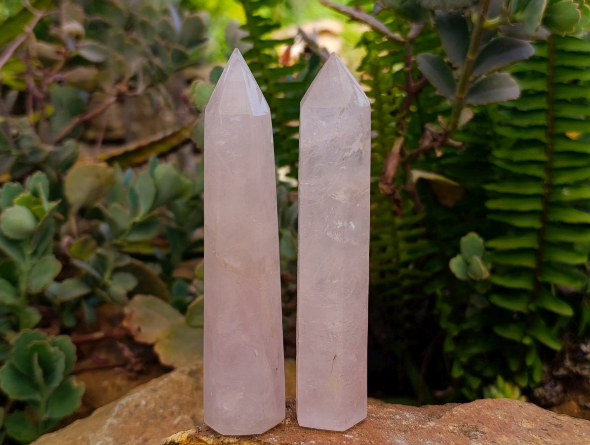 Polished Gemmy Thin Rose Quartz Crystals x 12 From Madagascar