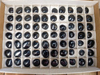 Polished Mini Black Tourmaline Free Forms x 70 From Madagascar