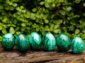 Polished Flower Banded Malachite Gemstone Eggs x 6 From Congo