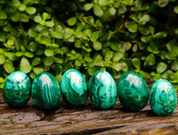 Polished Flower Banded Malachite Gemstone Eggs x 6 From Congo