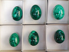 Polished Flower Banded Malachite Gemstone Eggs x 6 From Congo