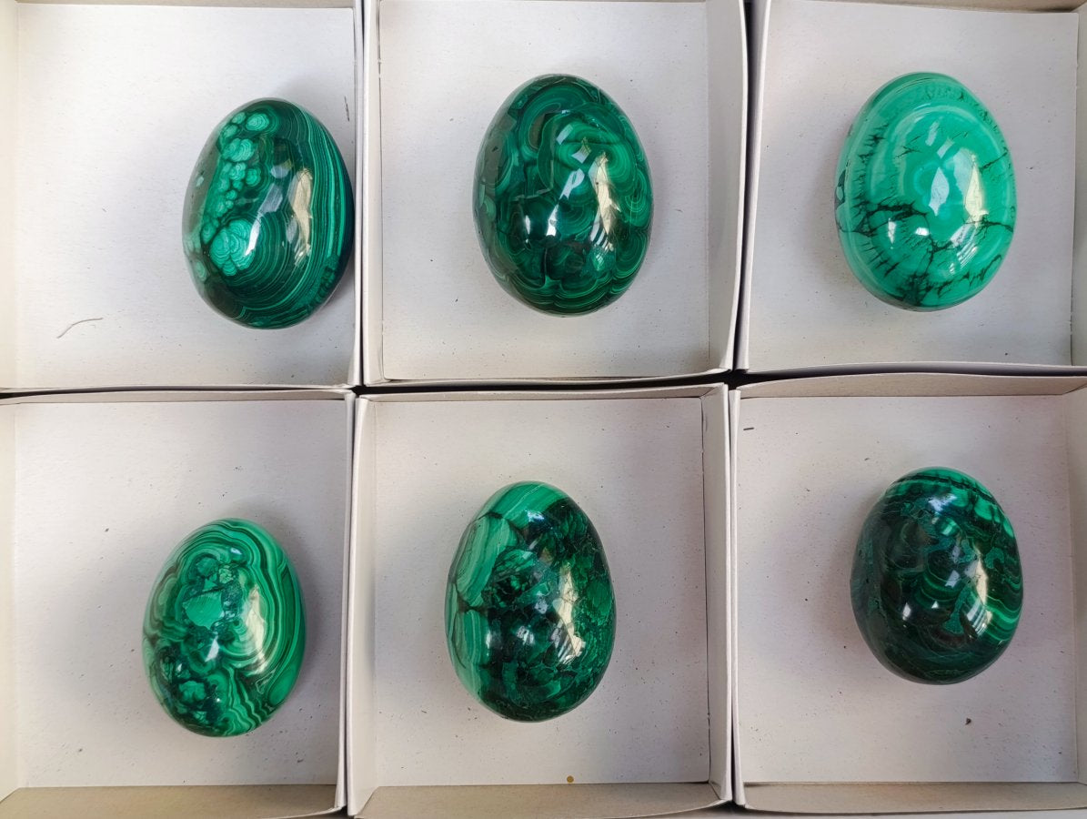 Polished Flower Banded Malachite Gemstone Eggs x 6 From Congo