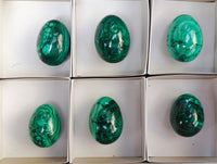 Polished Flower Banded Malachite Gemstone Eggs x 6 From Congo