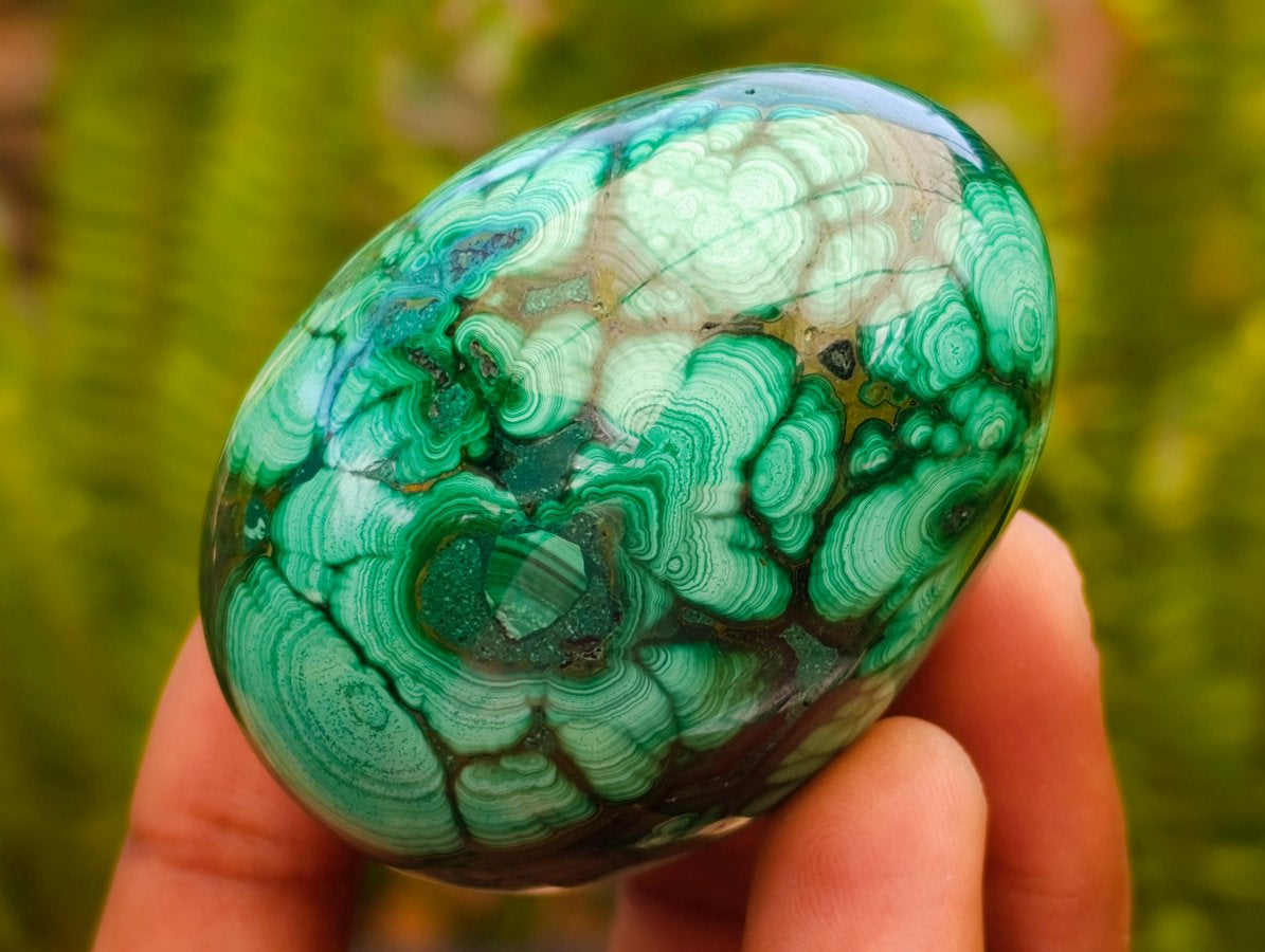 Polished Flower Banded Malachite Gemstone Eggs x 6 From Congo