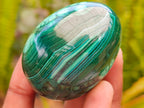 Polished Flower Banded Malachite Gemstone Eggs x 6 From Congo