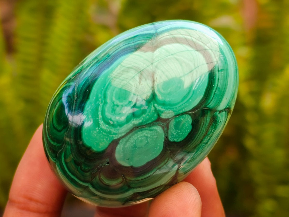 Polished Flower Banded Malachite Gemstone Eggs x 6 From Congo