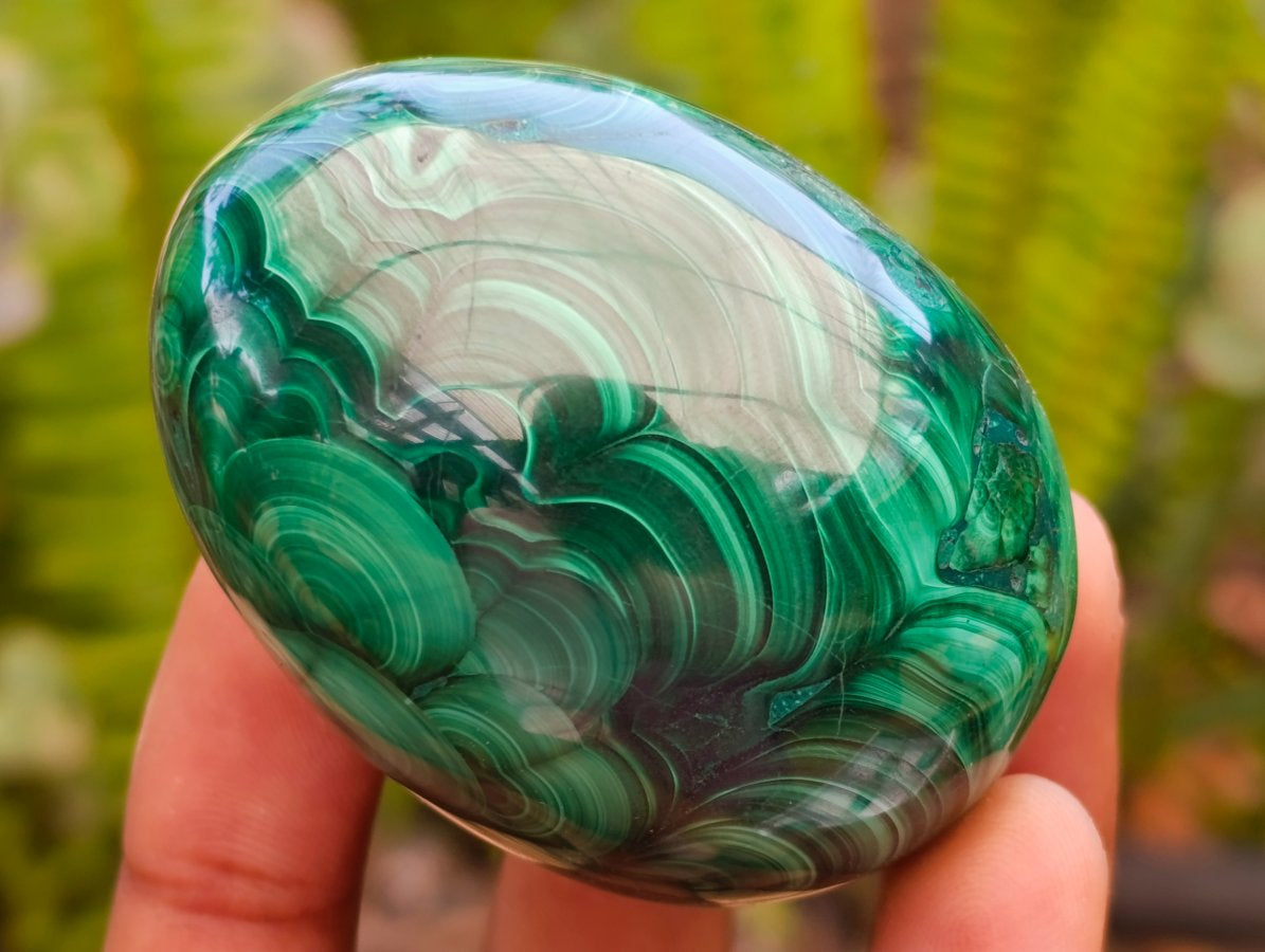 Polished Flower Banded Malachite Gemstone Eggs x 6 From Congo