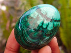Polished Flower Banded Malachite Gemstone Eggs x 6 From Congo