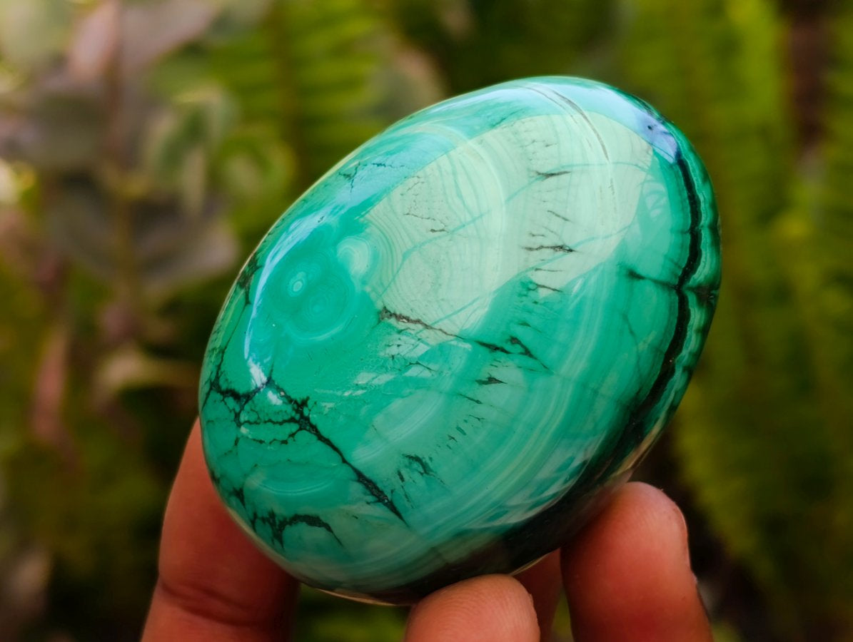 Polished Flower Banded Malachite Gemstone Eggs x 6 From Congo