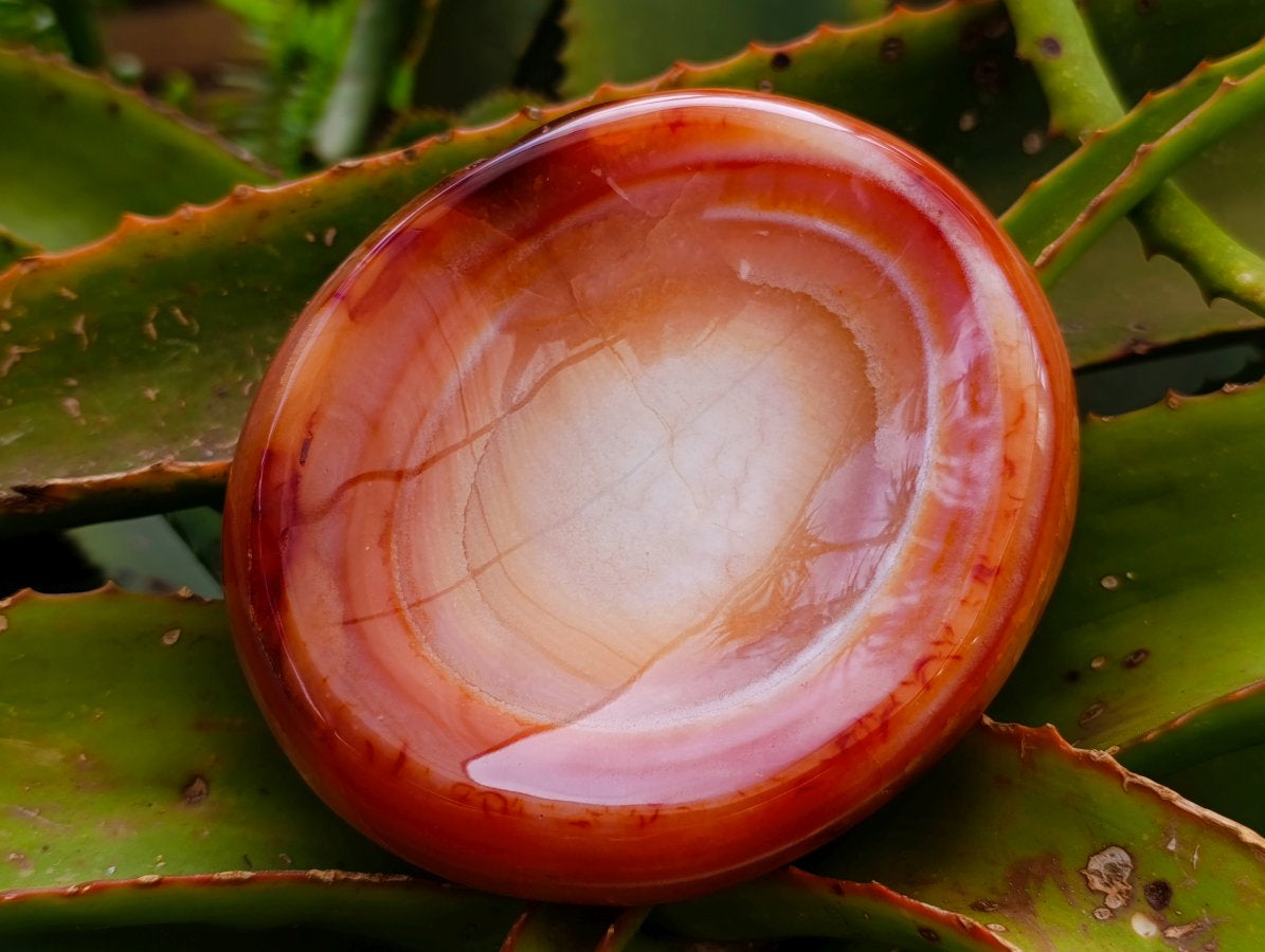 Polished Carnelian Agate Gemstone Bowls x 3 From Madagascar