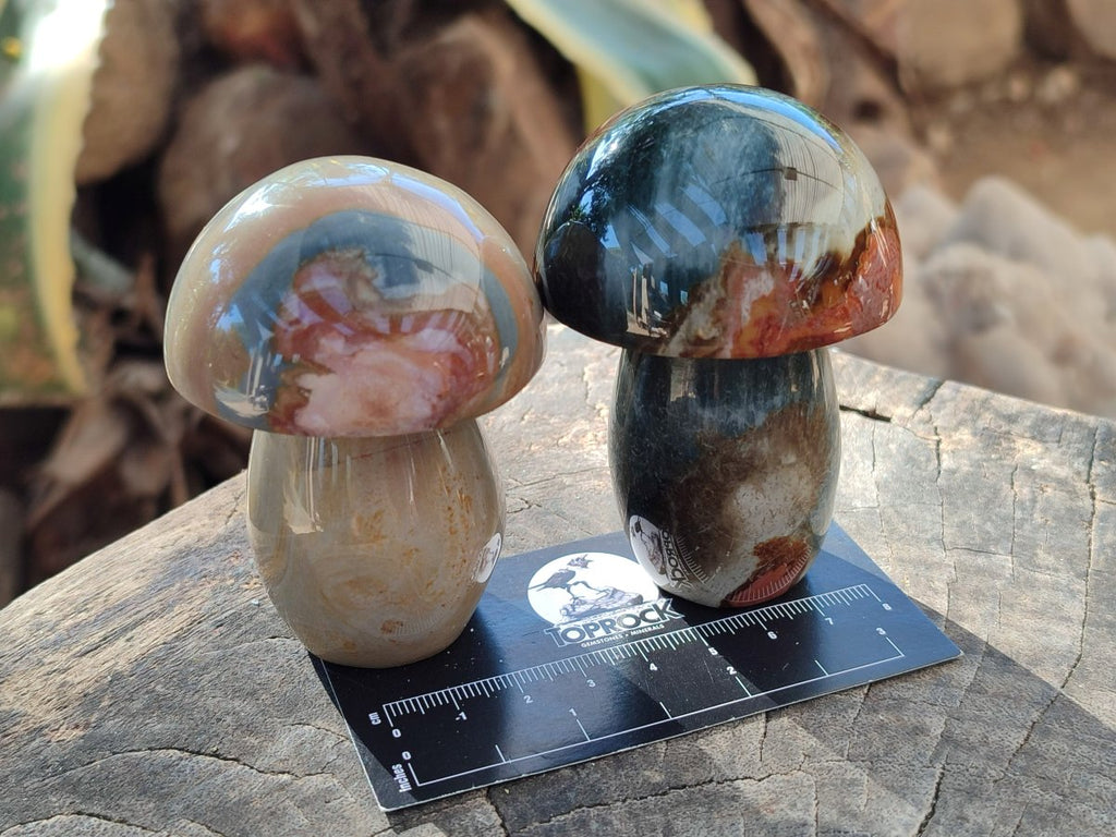 Polished Polychrome Jasper Mushrooms x 8 From NW Coast, Madagascar