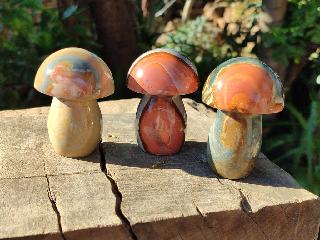 Polished Polychrome Jasper Mushrooms x 8 From NW Coast, Madagascar