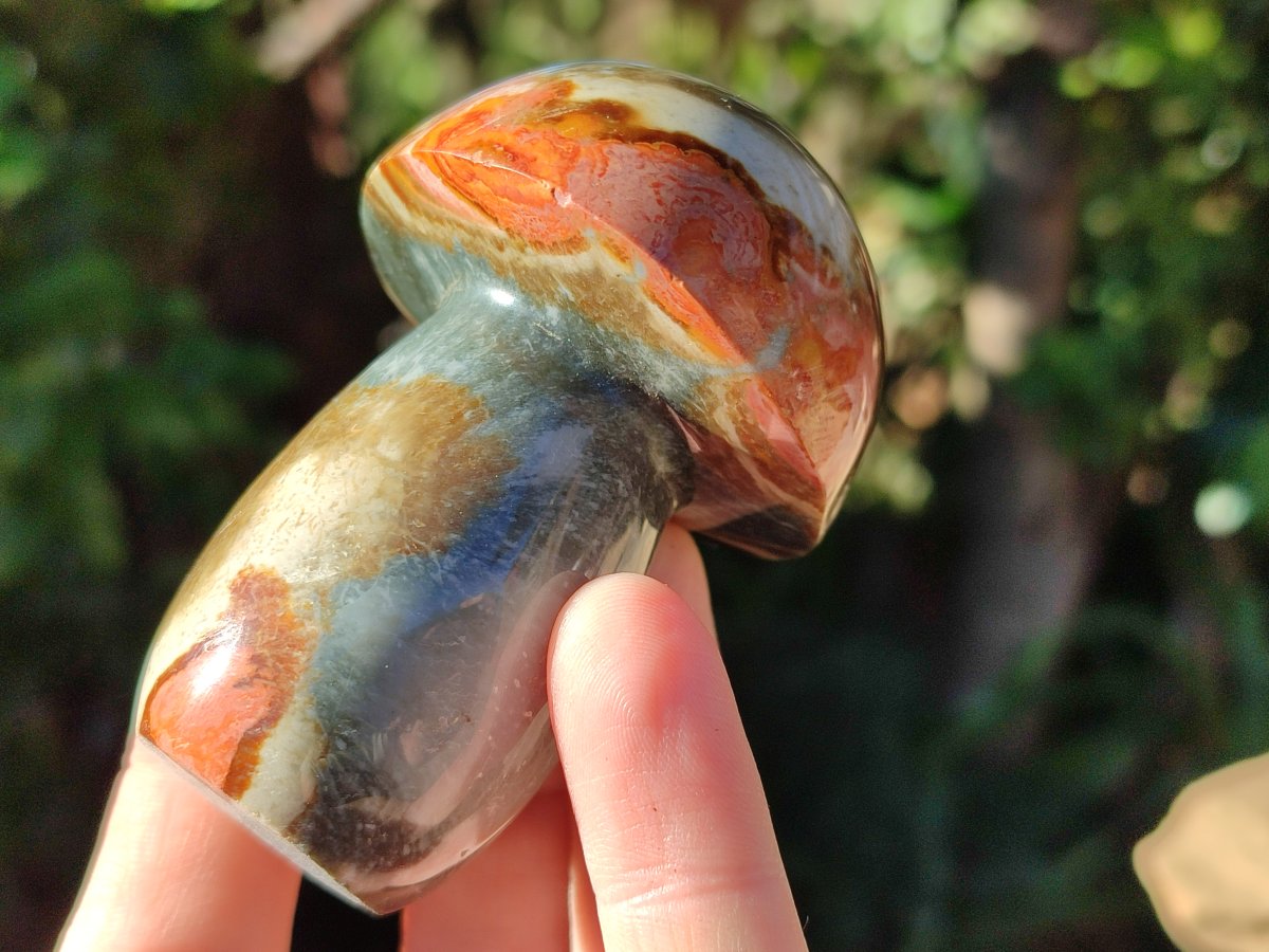 Polished Polychrome Jasper Mushrooms x 8 From NW Coast, Madagascar