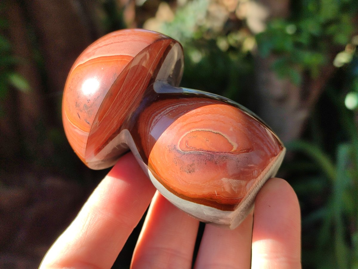 Polished Polychrome Jasper Mushrooms x 8 From NW Coast, Madagascar