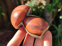 Polished Polychrome Jasper Mushrooms x 8 From NW Coast, Madagascar