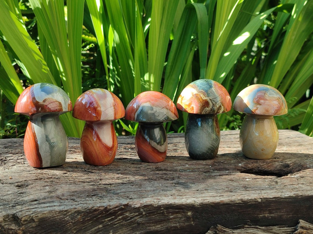 Polished Polychrome Jasper Mushrooms x 8 From NW Coast, Madagascar
