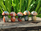 Polished Polychrome Jasper Mushrooms x 8 From NW Coast, Madagascar