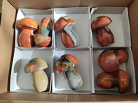 Polished Polychrome Jasper Mushrooms x 8 From NW Coast, Madagascar
