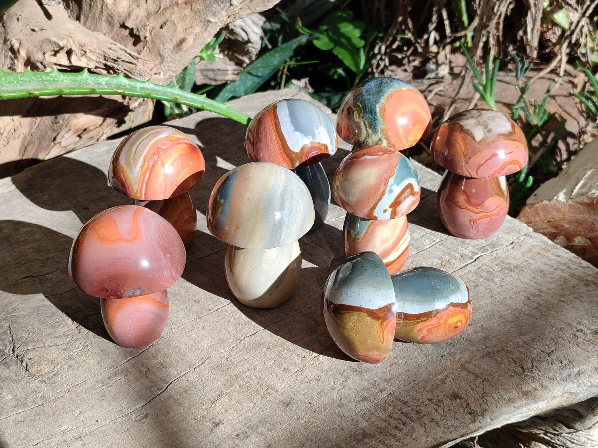 Polished Polychrome Jasper Mushrooms x 8 From NW Coast, Madagascar