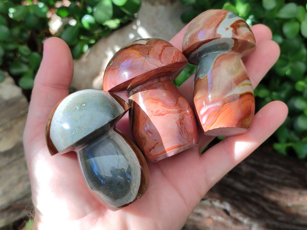 Polished Polychrome Jasper Mushrooms x 8 From NW Coast, Madagascar