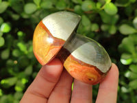 Polished Polychrome Jasper Mushrooms x 8 From NW Coast, Madagascar