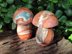 Polished Polychrome Jasper Mushrooms x 8 From NW Coast, Madagascar