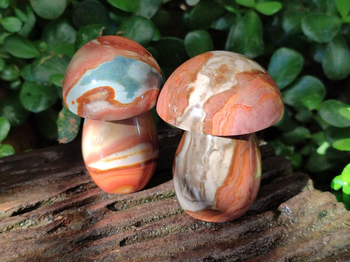 Polished Polychrome Jasper Mushrooms x 8 From NW Coast, Madagascar