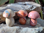 Polished Polychrome Jasper Mushrooms x 8 From NW Coast, Madagascar