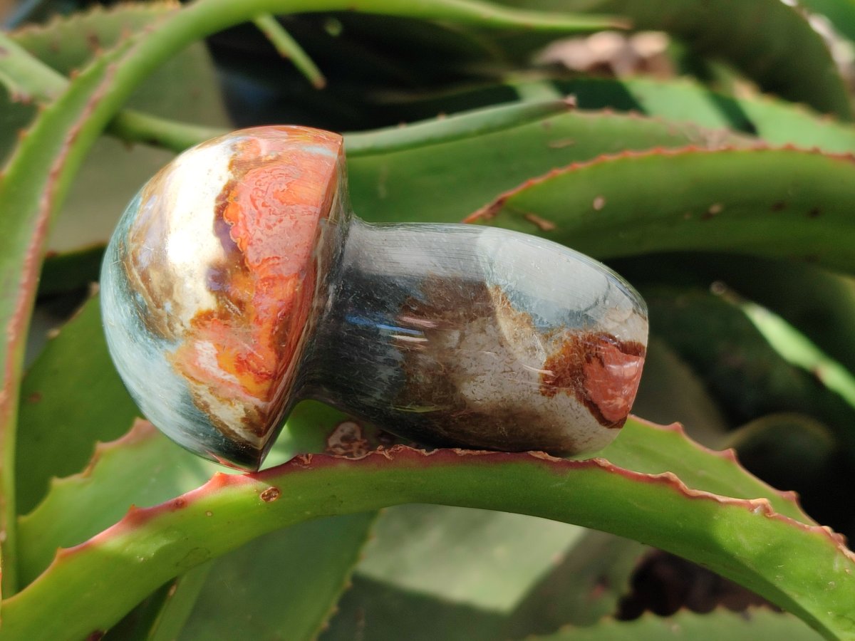 Polished Polychrome Jasper Mushrooms x 8 From NW Coast, Madagascar