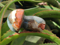 Polished Polychrome Jasper Mushrooms x 8 From NW Coast, Madagascar