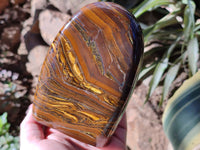 Polished Golden Tigers Eye With Banded Iron Stone Standing Free Forms x 2 From Prieska, South Africa