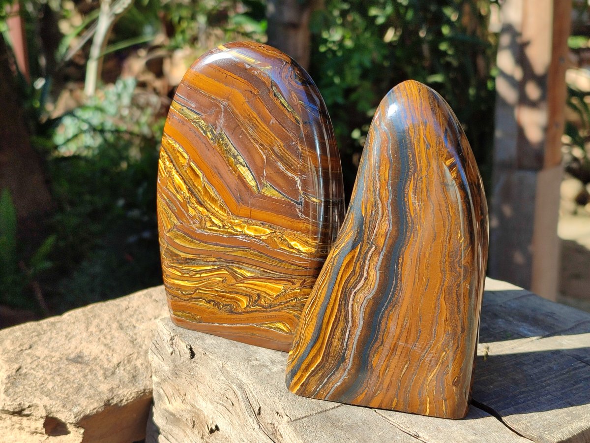 Polished Golden Tigers Eye With Banded Iron Stone Standing Free Forms x 2 From Prieska, South Africa