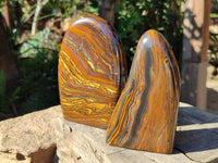 Polished Golden Tigers Eye With Banded Iron Stone Standing Free Forms x 2 From Prieska, South Africa