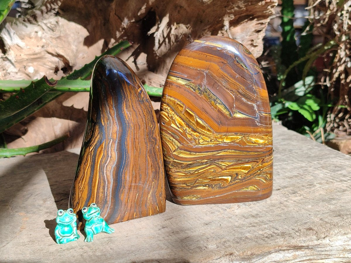 Polished Golden Tigers Eye With Banded Iron Stone Standing Free Forms x 2 From Prieska, South Africa
