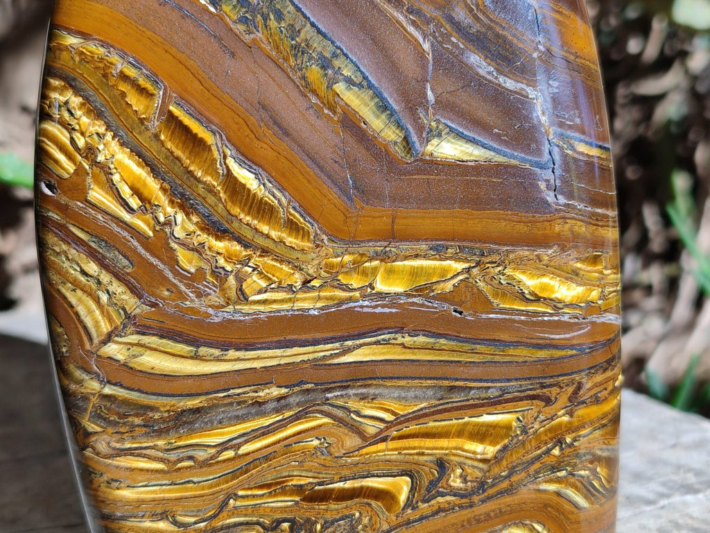 Polished Golden Tigers Eye With Banded Iron Stone Standing Free Forms x 2 From Prieska, South Africa
