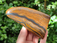 Polished Golden Tigers Eye With Banded Iron Stone Standing Free Forms x 2 From Prieska, South Africa