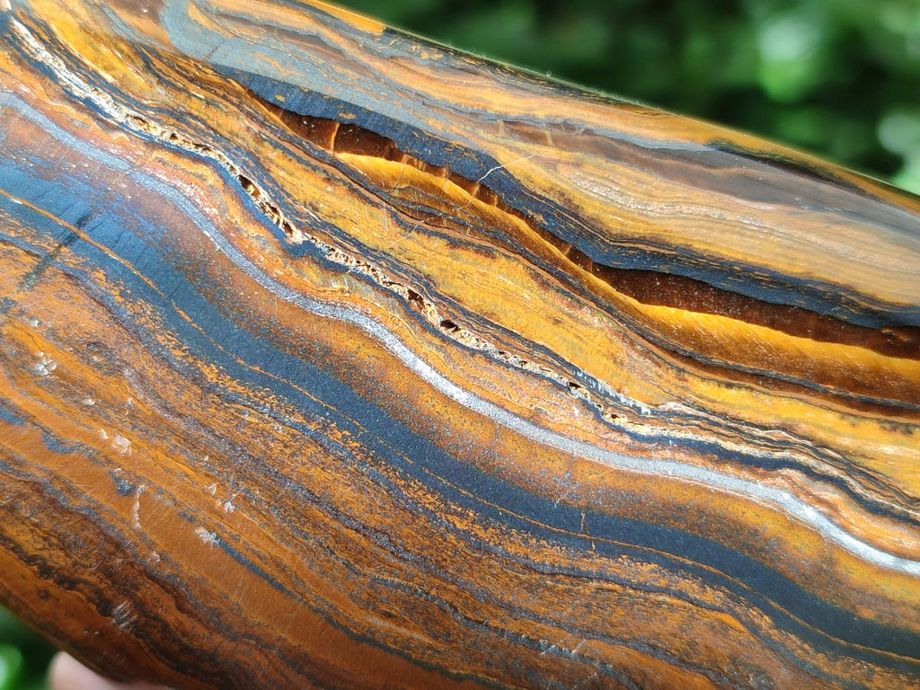Polished Golden Tigers Eye With Banded Iron Stone Standing Free Forms x 2 From Prieska, South Africa