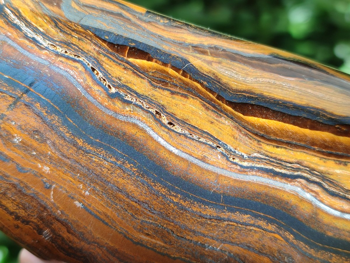 Polished Golden Tigers Eye With Banded Iron Stone Standing Free Forms x 2 From Prieska, South Africa