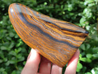 Polished Golden Tigers Eye With Banded Iron Stone Standing Free Forms x 2 From Prieska, South Africa