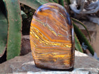Polished Golden Tigers Eye With Banded Iron Stone Standing Free Forms x 2 From Prieska, South Africa