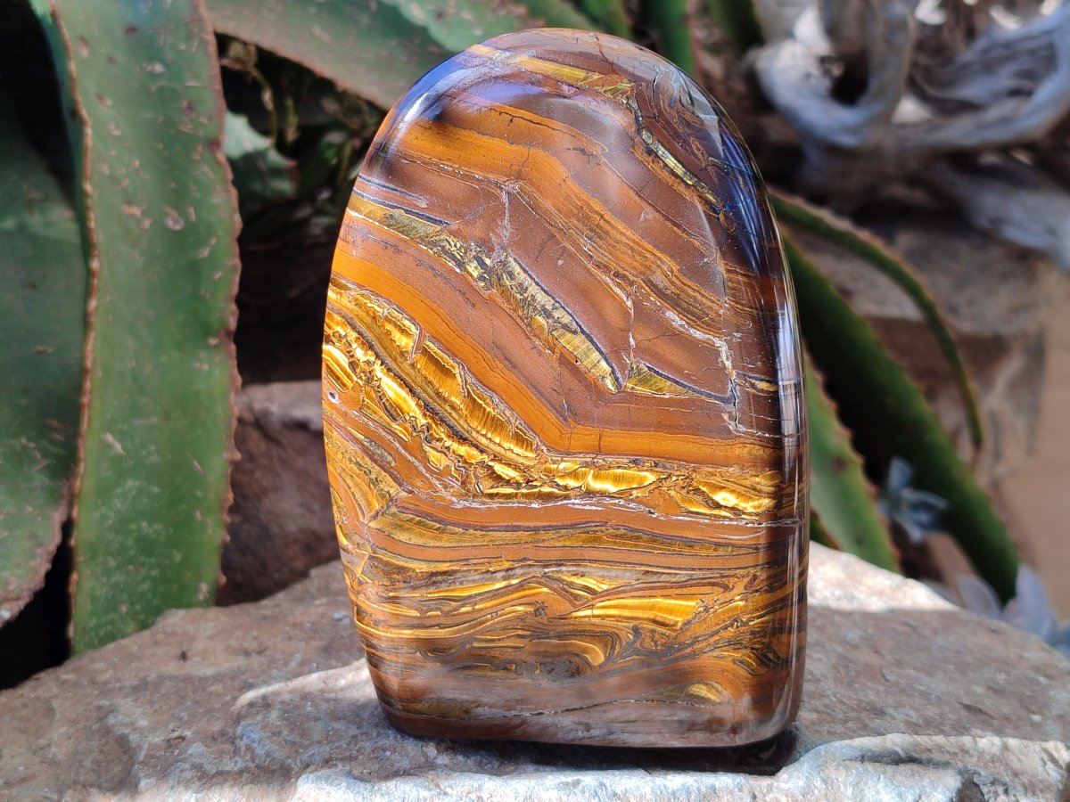 Polished Golden Tigers Eye With Banded Iron Stone Standing Free Forms x 2 From Prieska, South Africa