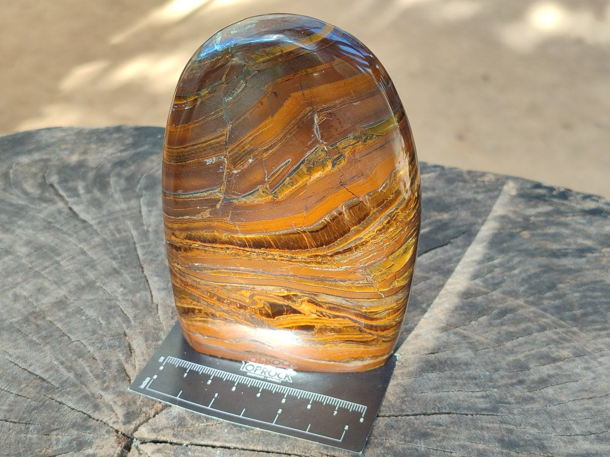 Polished Golden Tigers Eye With Banded Iron Stone Standing Free Forms x 2 From Prieska, South Africa