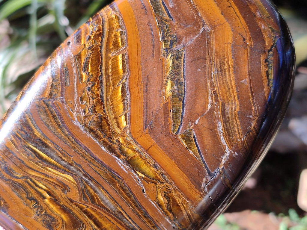 Polished Golden Tigers Eye With Banded Iron Stone Standing Free Forms x 2 From Prieska, South Africa