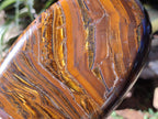 Polished Golden Tigers Eye With Banded Iron Stone Standing Free Forms x 2 From Prieska, South Africa